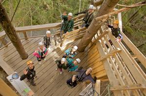 Ziptrek Ecotours Group Waving on Triangle Tree.